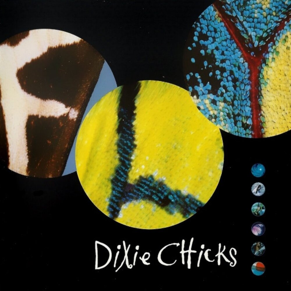 dixie chicks fly 1999 cd - texas girl band country folk blues rock goodbye earl